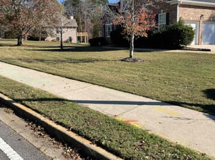 Karen W.'s turf care service result