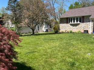 Vicky D.'s grass maintenance service result