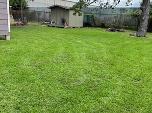 Vijay G.'s yard care service result