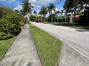 Donna G.'s turf care service result