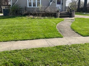 Marcus F.'s grass cutting service result
