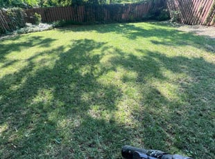 David C.'s turf maintenance service result