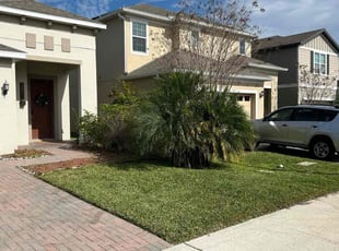Tara P.'s lawn care services service result