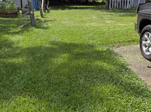 Jerry G.'s lawn care service result