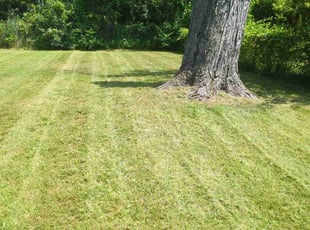 Janice R.'s lawn care service result