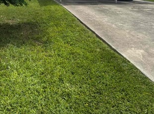 Kaki L.'s lawn service service result
