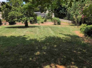 Paul L.'s lawn care services service result