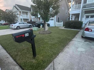 Steven R.'s lawn care services service result