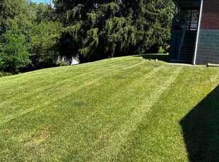 Diane J.'s grass maintenance service result