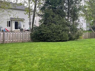 Jennifer P.'s lawn service service result