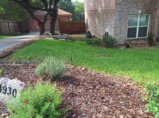 Audrey H.'s turf care service result