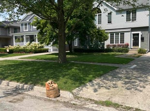 Carel D.'s turf care service result
