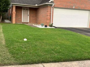 Lynnelle K.'s lawn care services service result