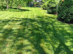 Sara H.'s lawn service service result