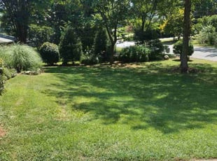 Aaron W.'s grass cutting service result