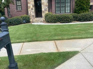 Cecelia C.'s lawn care services service result