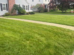Sheron b.'s lawn service service result