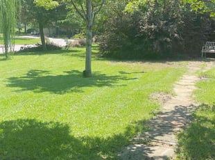 Julia A.'s turf maintenance service result
