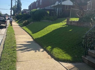 Edward W.'s turf maintenance service result