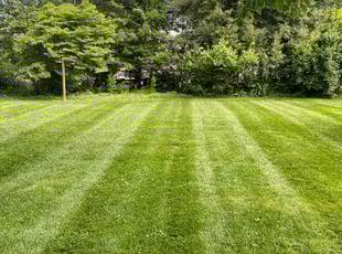 Matthew A.'s lawn service service result