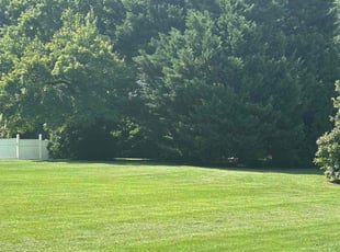 Andrea A.'s lawn maintenance service result