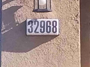 Lynette C.'s turf maintenance service result