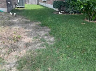Rolando V.'s turf care service result