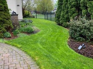 Jim K.'s lawn care services service result