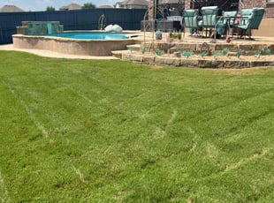 Jaime T.'s grass cutting service result