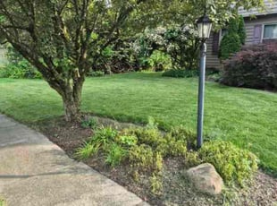Jay W.'s grass cutting service result