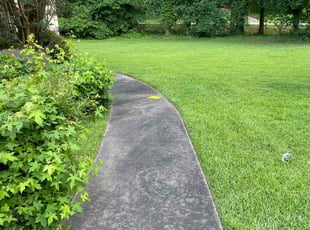 Daniel R.'s lawn service service result