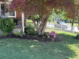 Siri S.'s lawn care service result