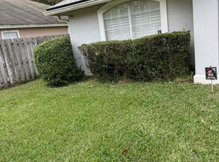 Vivian M.'s Bush Trimming service result