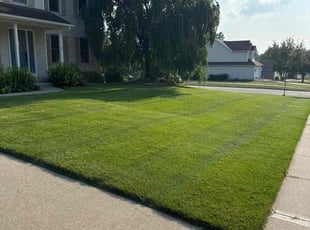 Kathryn M.'s lawn care services service result