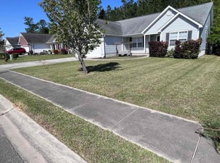 Harriet H.'s turf care service result