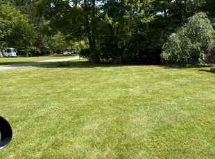 Tiffiney k.'s turf maintenance service result