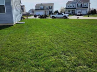 Chris Q.'s grass maintenance service result