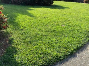 Darrell C.'s lawn maintenance service result