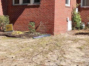 Patrick G.'s Bush Trimming service result