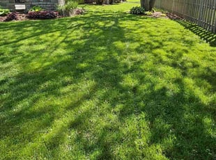 Beth H.'s grass cutting service result