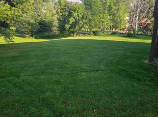 Daniel D.'s lawn care service result