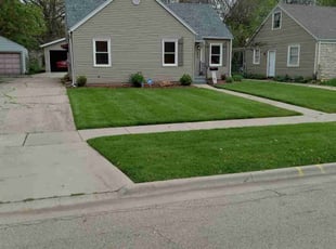 Thomas W.'s lawn care service result