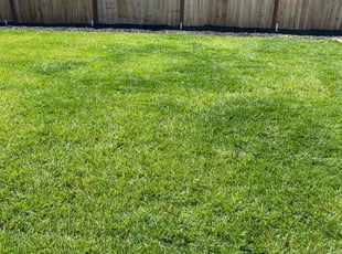 Deborah S.'s grass maintenance service result
