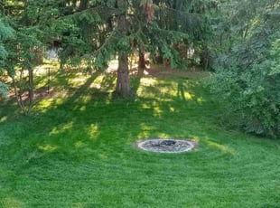 Rodney R.'s grass maintenance service result