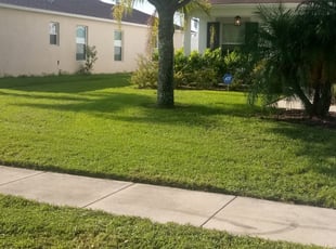 Arik W.'s lawn maintenance service result