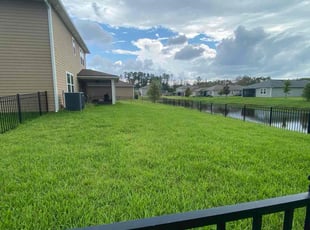 Andy G.'s grass maintenance service result