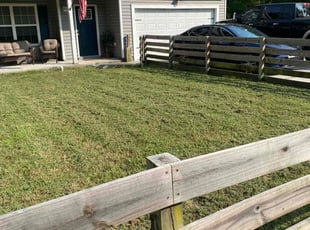 Anthony M.'s lawn service service result