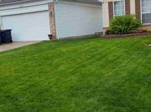 Kirsten R.'s turf maintenance service result