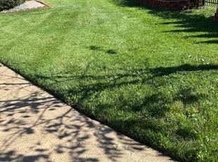 Sarah M.'s grass cutting service result