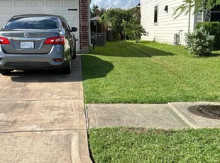 Tori J.'s turf maintenance service result